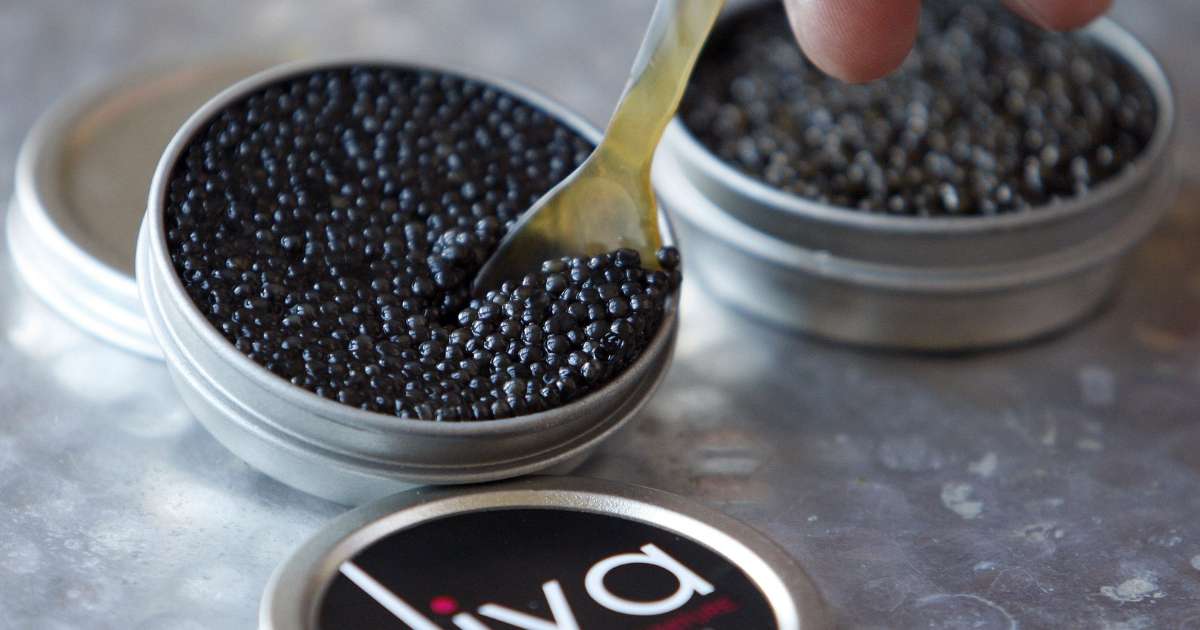 Challenges in Halal Caviar Production
