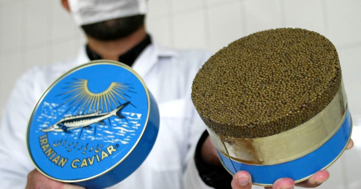 Quality Control and Assurance in Halal Caviar Production