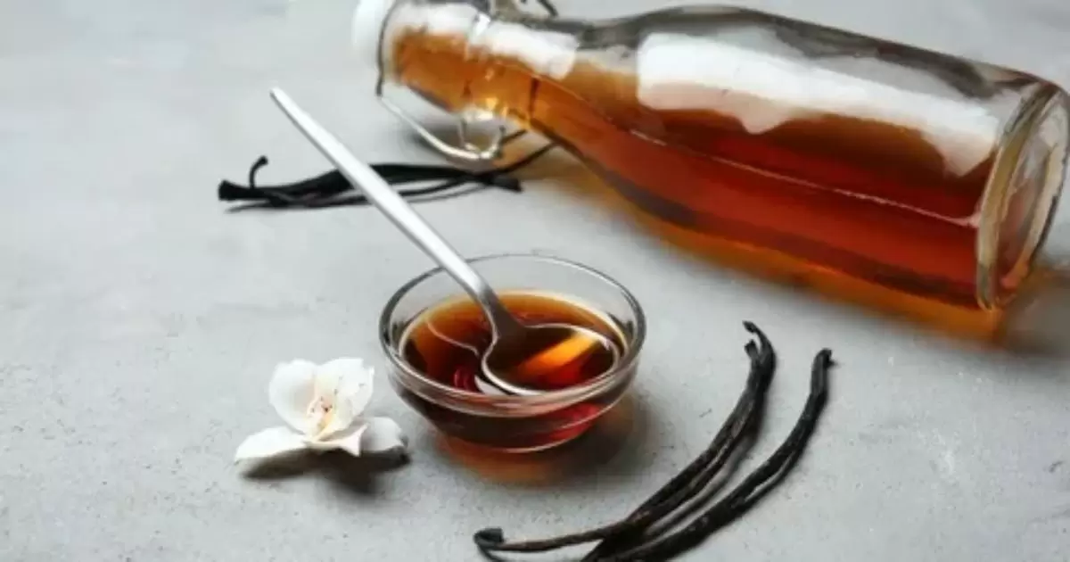 Scholars Weigh In: Varying Perspectives on Vanilla Extract